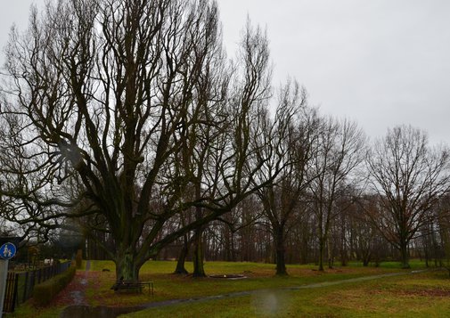 KUS_Foerderung_2012_Schlossbrunnen_Benndorf_2.jpg