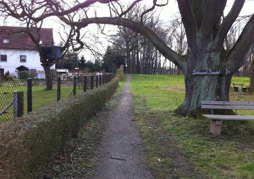 KUS_Foerderung_2015_Schlosspark_Benndorf_3.jpg