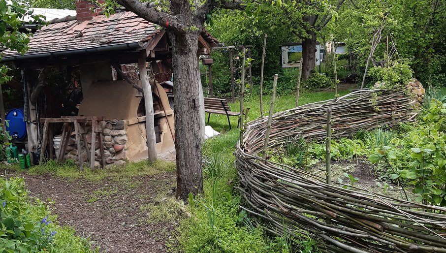 Tiere_der_Nacht_2 (NABU-Naturschutzzentrum Groitzsch)