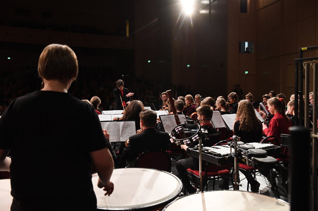 Young_Music_Academy Instrumentenfond_1 (Verein zur Förderung der Musikschule und Kunstschule Landkreis Leipzig e. V.)